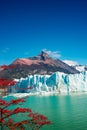 Wonderful view at the huge Perito Moreno glacier in Patagonia in golden Autumn, South America Royalty Free Stock Photo