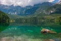 Wonderful view of Tovel lake in the summer season, Trentino