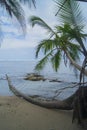 Wonderful view of tropical beach, Cahuita Park