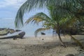 Wonderful view of tropical beach, Cahuita Park