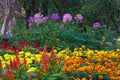 Wonderful view of a variety of newly planted, beautiful flowers in a Thai garden park.