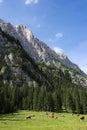 Wonderful views of the Dolomites, Italy