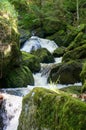 Wonderful Waterfall cascades in Ysperklamm in Lower Austria. Waldviertel.