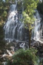 A wonderful waterfall rises from the rocky ground in Nuevo Leon, Mexico Royalty Free Stock Photo