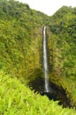 Wonderful Waterfalls Surrounded By Impressive Vegetation