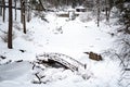 Wonderful white winter landscape