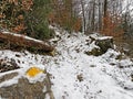 Wonderful winter hiking trails on the fresh alpine snow cover of the Churfirsten mountain range and above the Lake Walen Royalty Free Stock Photo