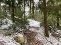 Wonderful winter hiking trails on the fresh alpine snow cover of the Churfirsten mountain range and above the Lake Walen Royalty Free Stock Photo