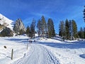 Wonderful winter hiking trails and traces on the fresh alpine snow cover of the Alpstein mountain massif and in the Obertoggenburg