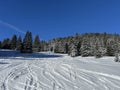 Wonderful winter hiking trails and traces after the winter snowfall in the Swiss Alps