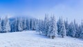 Wonderful winter landscape
