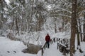 Wonderful winter landscape.The creek and trees are covered with snow Royalty Free Stock Photo