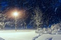 Wonderful winter landscape. Winter scenery, snow covered frosty trees in a night city park glowing. Royalty Free Stock Photo