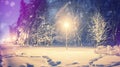 Wonderful winter landscape. Winter scenery, snow covered frosty trees in a night city park Royalty Free Stock Photo