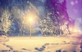 Wonderful winter landscape. Winter scenery, snow covered frosty trees in a night city park Royalty Free Stock Photo