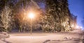 Wonderful winter landscape. Winter scenery, snow covered frosty trees in a night city park. Royalty Free Stock Photo