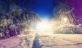 Wonderful winter landscape. Winter scenery, snow covered frosty trees Royalty Free Stock Photo