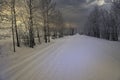 Wonderful winter landscape in Yukon