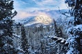Wonderful winter landscape of the Yukon