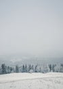 Wonderful winter scene with snow falling. Bukovel ski resort in Ukrainian Carpathians. Snowy forest on the mountain hills. Foggy Royalty Free Stock Photo