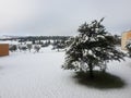 Wonderful winter snowy morning, great weather for skiing