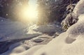 Wonderful wintry landscape. Winter mountain forest. frosty trees under warm sunlight. picturesque nature scenery. creative Royalty Free Stock Photo