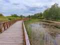 Wonderful, wooden bridge pathway over swamps of Kopacki Rit, famous national park in Slavonija, Croatian continental region