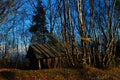 The hut in the forest, now bare of leaves Royalty Free Stock Photo