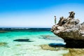 Snorkelling in Cristal clear Rottnest Island