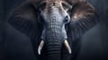 wonderfully colored portrait of an African elephant in front of a dark background