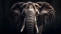 wonderfully colored portrait of an African elephant in front of a dark background