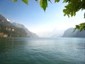 Beautifully panorama view with green leaves and a turquoise blue swiss lake with snow-covered mountains