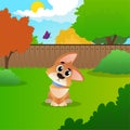 Wondering cartoon corgi sitting on backyard. Sunny summer landscape with green meadow, bushes, trees, wooden fence, blue Royalty Free Stock Photo