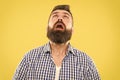 Wondering every time. Guy surprised face expression. Hipster emotional surprised expression. Rustic surprised macho Royalty Free Stock Photo