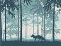 Wondering fox, forest background, silhouettes of trees. Magical misty landscape.