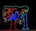 night time lights twelve days of Christmas number one a partridge in a pear tree Royalty Free Stock Photo