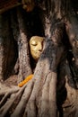The wonders of the Buddha`s head are in a tree. Royalty Free Stock Photo