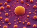 Wonders of micro-biology' concept-art depicting an orange cell with pink tentrils