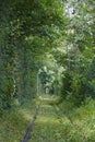 Wonders of nature - Tunnel of Love Tunel Kokhannya. Ukraine. Tourist landmark Royalty Free Stock Photo