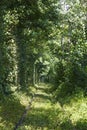 Wonders of nature - Tunnel of Love Tunel Kokhannya. Ukraine. Tourist landmark Royalty Free Stock Photo