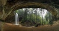 Wonders in the Woods Panorama Royalty Free Stock Photo