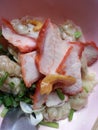 wonton red rost pork