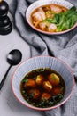 Wonton soup bowl. shrimp or pork wonton soup with green onion