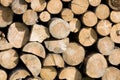 Wood Royalty Free Stock Photo