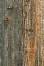 Wood Royalty Free Stock Photo
