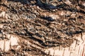 Wood abstract composition Royalty Free Stock Photo