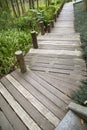 Wood alley arranged in the Shimen Forest Park