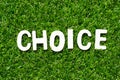 Wood letter in word choice on green grass background