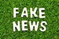 Wood letter in word fake news on green grass background Royalty Free Stock Photo