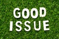 Wood letter in word good issue on green grass background Royalty Free Stock Photo